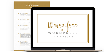 Ali Rand Web Design Home Page Worry Free WordPress Course with Schedule