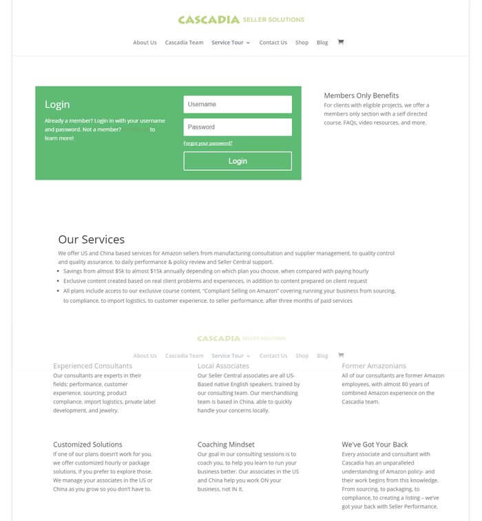 original Cascadia Seller Solutions services page before website redesign by Ali Rand